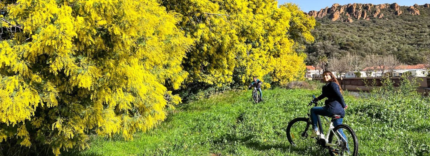 Expérience côte d'azur - réservez vos activités en ligne